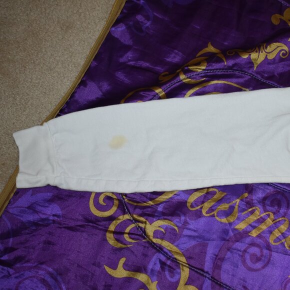 PUSSYCAT DOLLS DON'T CHA WISH HOT LIKE ME HOODIE size SMALL STAINED USED AS IS - Picture 8 of 16